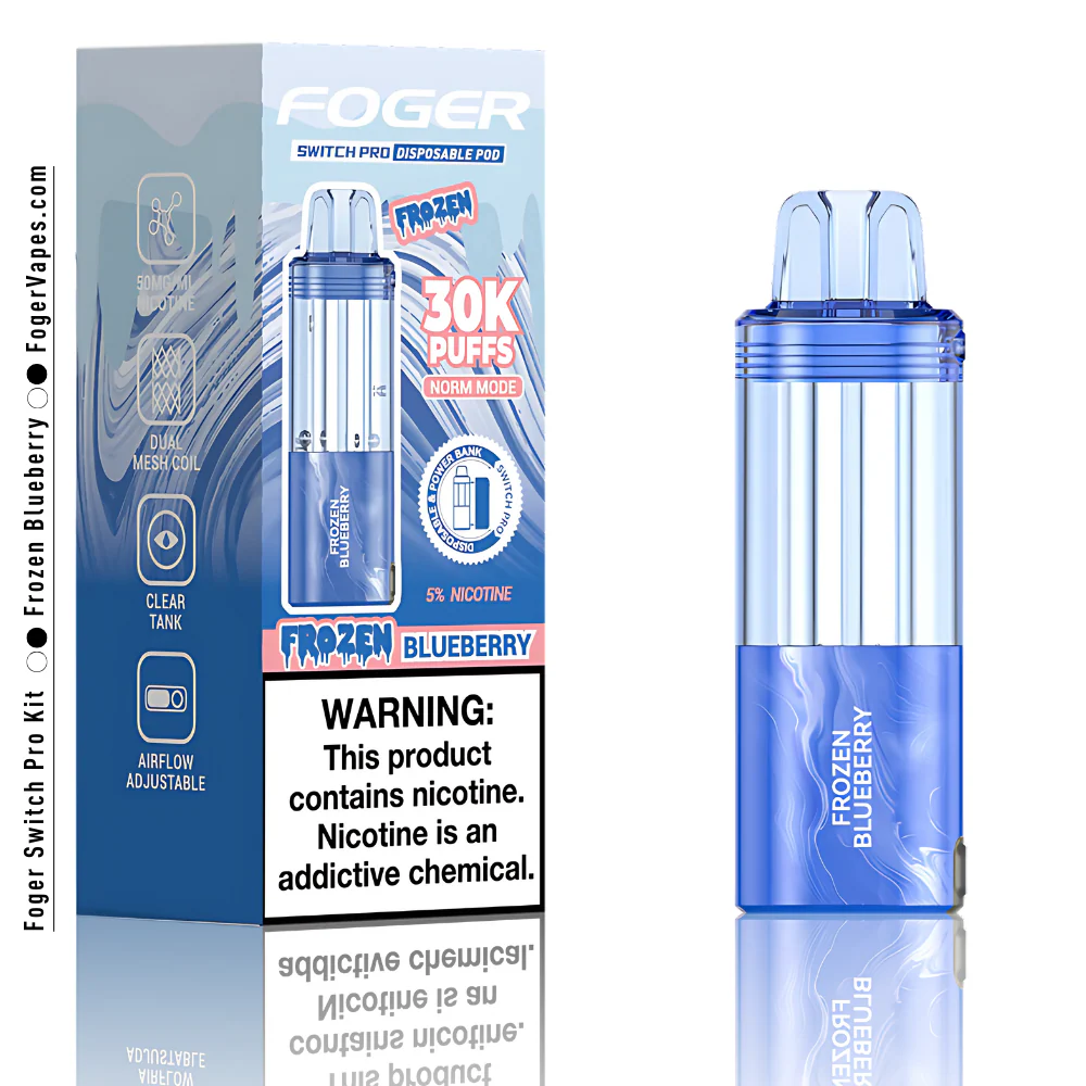 Frozen Blueberry – Foger Switch Pro Pod 30K Puffs - Image 3